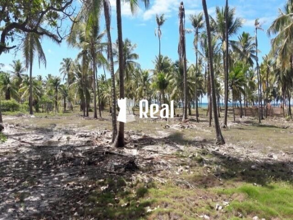 Imagem Terreno à Venda, 11.000 m² em Busca Vida - Camaçari