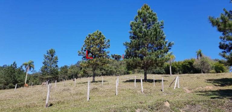 Imagem Imóvel com 2 Quartos à Venda, 133.100 m² em Carmo Messias - Ibiúna Imagem Imóvel com 2 Quartos à Venda, 133.100 m² em Carmo Messias - Ibiúna
