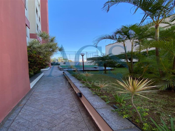 Imagem Apartamento com 3 Quartos à Venda, 64 m² em Vila Matilde - São Paulo Imagem Apartamento com 3 Quartos à Venda, 64 m² em Vila Matilde - São Paulo