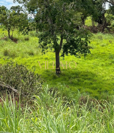 Imagem Chácara com 3 Quartos à Venda, 500 m² em Niquelândia Imagem Chácara com 3 Quartos à Venda, 500 m² em Niquelândia