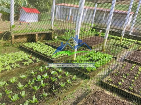 Imagem Chácara com 2 Quartos à Venda, 420 m² em Mato Dentro - Mairiporã Imagem Chácara com 2 Quartos à Venda, 420 m² em Mato Dentro - Mairiporã