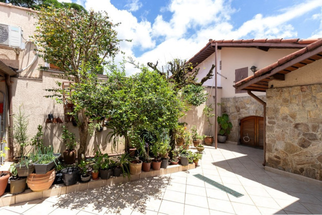 Imagem Casa com 3 Quartos à Venda, 300 m² em Chácara Monte Alegre - São Paulo Imagem Casa com 3 Quartos à Venda, 300 m² em Chácara Monte Alegre - São Paulo