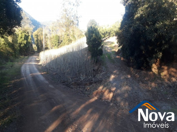 Imagem Imóvel à Venda, 60.000 m² em Linha Riachuelo - Nova Petrópolis Imagem Imóvel à Venda, 60.000 m² em Linha Riachuelo - Nova Petrópolis