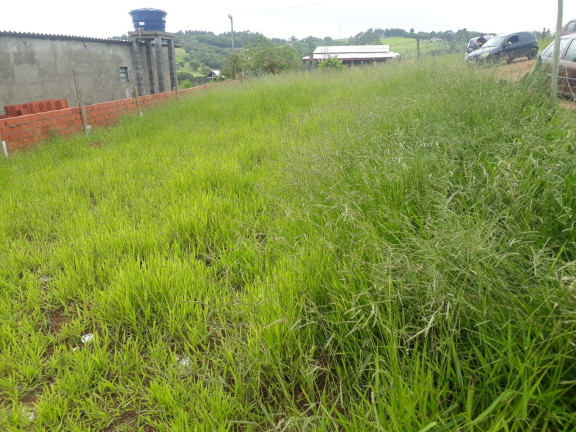 Imagem Terreno à Venda, 250 m² em Juruparazinho - Piedade Imagem Terreno à Venda, 250 m² em Juruparazinho - Piedade
