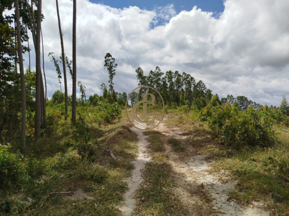 Imagem Chácara à Venda, em Natividade Da Serra - Natividade Da Serra Imagem Chácara à Venda, em Natividade Da Serra - Natividade Da Serra