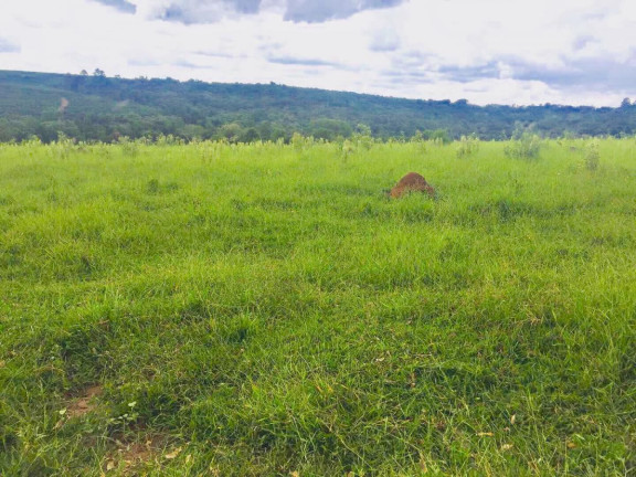 Imagem Chácara à Venda, 9 m² em Area Rural De Avaré - Avaré Imagem Chácara à Venda, 9 m² em Area Rural De Avaré - Avaré