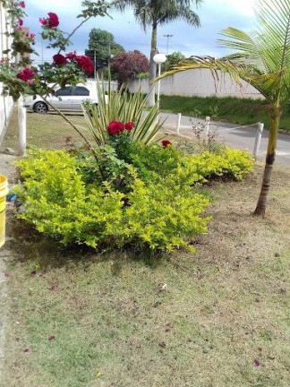 Imagem Casa com 2 Quartos à Venda, 60 m² em Socorro - Mogi Das Cruzes
