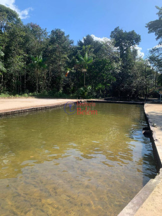 Imagem Casa com 2 Quartos para Alugar, 500 m² em Centro - Santa Bárbara Do Pará Imagem Casa com 2 Quartos para Alugar, 500 m² em Centro - Santa Bárbara Do Pará