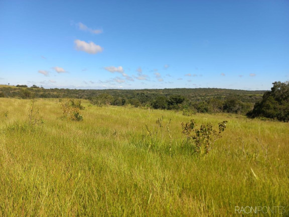 Imagem Fazenda à Venda, 10.000.000 m² em Zona Rural - Camapuã Imagem Fazenda à Venda, 10.000.000 m² em Zona Rural - Camapuã