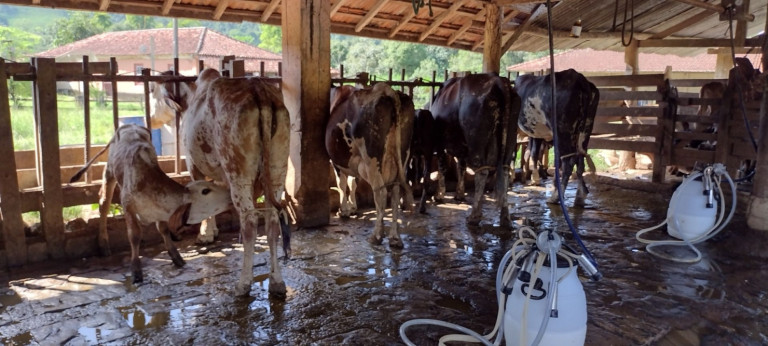 Fazenda à Venda, 150 m² em Capitão Mar - Arapeí