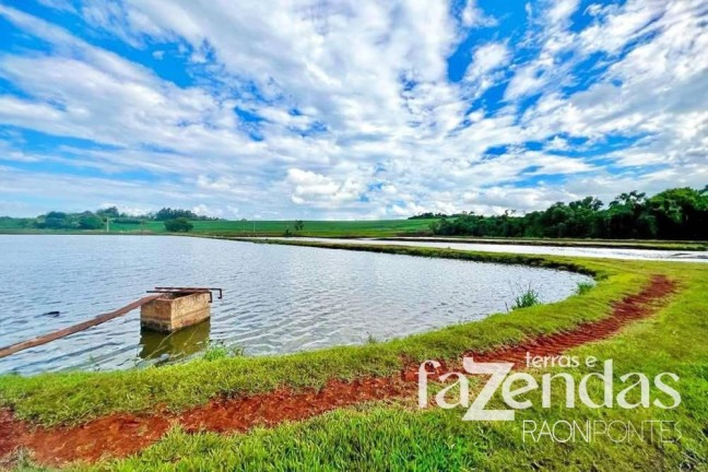 Imagem Fazenda à Venda, 187.200 m² em Vila Nova - Toledo Imagem Fazenda à Venda, 187.200 m² em Vila Nova - Toledo