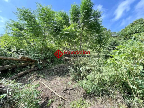 Imagem Terreno à Venda,  em Vila Santo Antônio - Cotia