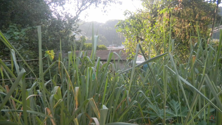 Imagem Terreno à Venda, 1.356 m² em Marapé - Santos Imagem Terreno à Venda, 1.356 m² em Marapé - Santos
