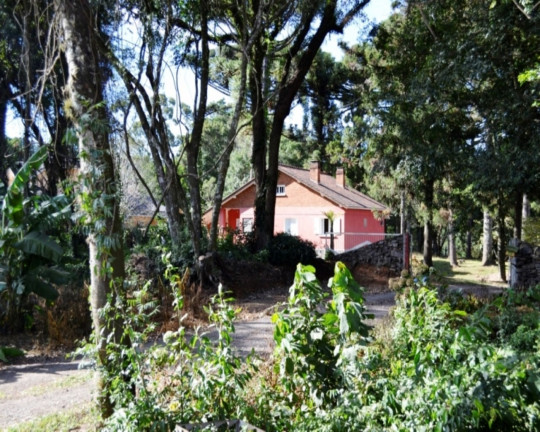 Imagem Imóvel com 4 Quartos à Venda, em Piá - Nova Petrópolis Imagem Imóvel com 4 Quartos à Venda, em Piá - Nova Petrópolis