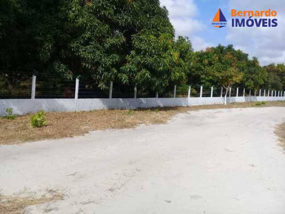 Imagem Chácara com 4 Quartos à Venda, 234 m² em Rodeador - Pindoretama Imagem Chácara com 4 Quartos à Venda, 234 m² em Rodeador - Pindoretama