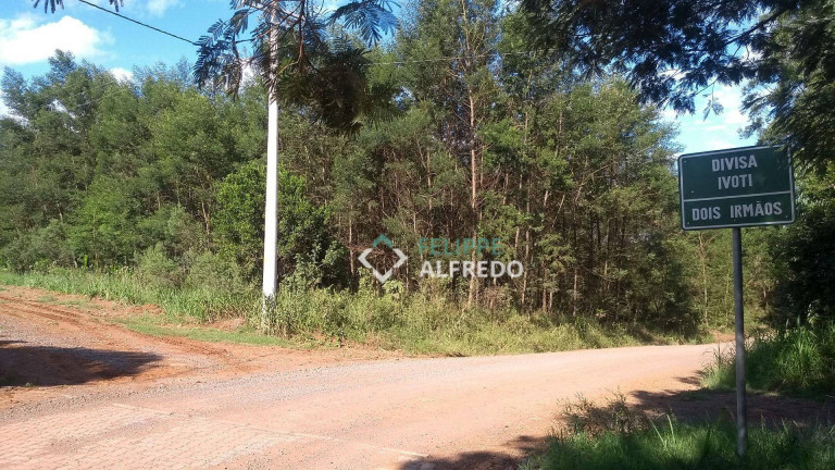 Imagem Imóvel Comercial à Venda, 9.893 m² em Loteamento Popular Picada - Dois Irmãos Imagem Imóvel Comercial à Venda, 9.893 m² em Loteamento Popular Picada - Dois Irmãos