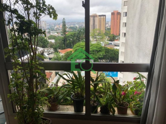 Imagem Apartamento com 3 Quartos à Venda, 107 m² em Vila Sofia - São Paulo