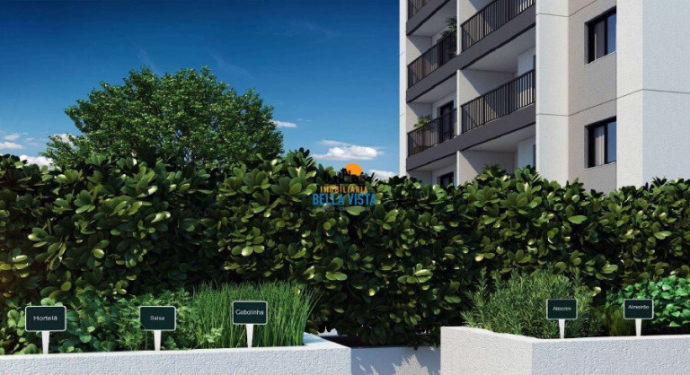 Imagem Apartamento com 2 Quartos à Venda, em Jabaquara - São Paulo Imagem Apartamento com 2 Quartos à Venda, em Jabaquara - São Paulo