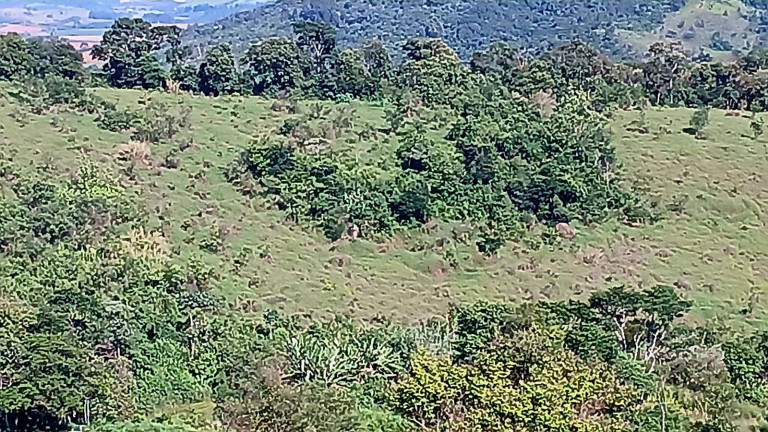 Imagem Chácara à Venda, 2 m² em São João Da Boa Vista Imagem Chácara à Venda, 2 m² em São João Da Boa Vista