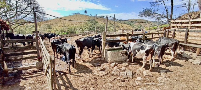 Imagem Fazenda à Venda, 100 m² em Centro - Silveiras Imagem Fazenda à Venda, 100 m² em Centro - Silveiras