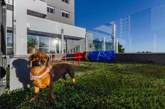 Imagem Apartamento com 3 Quartos à Venda, 91 m² em Panazzolo - Caxias Do Sul Imagem Apartamento com 3 Quartos à Venda, 91 m² em Panazzolo - Caxias Do Sul