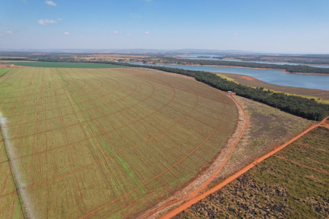 Fazenda à Venda, 523 m² em Zona Rural - Morada Nova De Minas