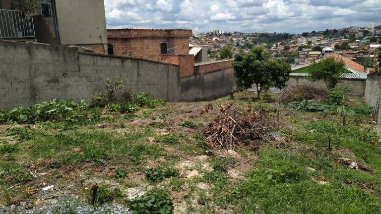 Imagem Terreno à Venda, 360 m² em Veneza - Ribeirão Das Neves