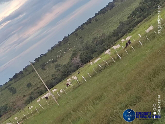 Imagem Fazenda à Venda, 121 m² em Zona Rural - Torixoréu Imagem Fazenda à Venda, 121 m² em Zona Rural - Torixoréu