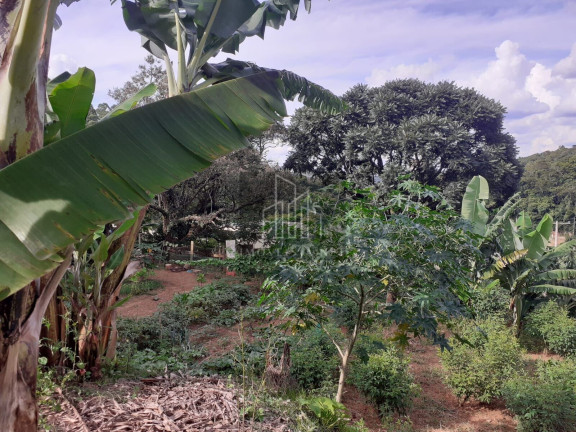 Imagem Imóvel com 4 Quartos à Venda, 3.500 m² em Parque Jaguari (fazendinha) - Santana De Parnaíba Imagem Imóvel com 4 Quartos à Venda, 3.500 m² em Parque Jaguari (fazendinha) - Santana De Parnaíba