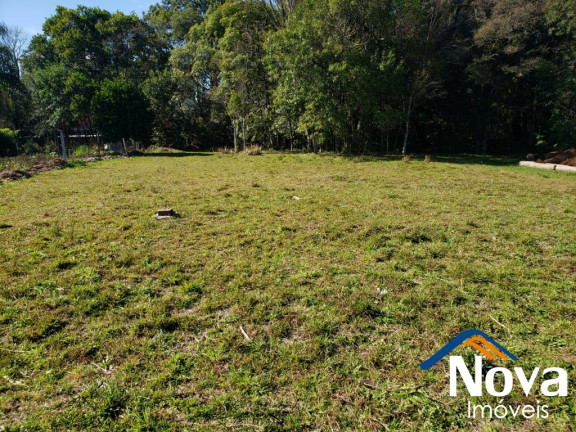 Imagem Imóvel à Venda, 1.176 m² em Pousada Da Neve - Nova Petrópolis Imagem Imóvel à Venda, 1.176 m² em Pousada Da Neve - Nova Petrópolis