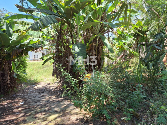 Imagem Imóvel com 4 Quartos à Venda, 110 m² em Chácara Santa Margarida - Campinas Imagem Imóvel com 4 Quartos à Venda, 110 m² em Chácara Santa Margarida - Campinas