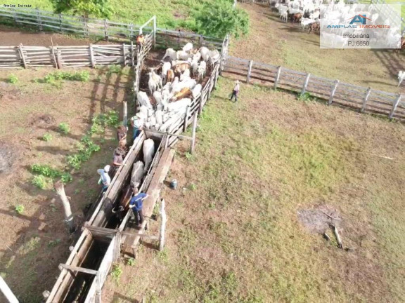 Imagem Fazenda à Venda, 58.000 m² em Cáceres