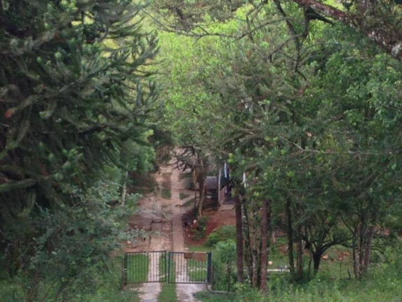 Imagem Terreno à Venda, 80 m² em Santa Felicidade - Curitiba