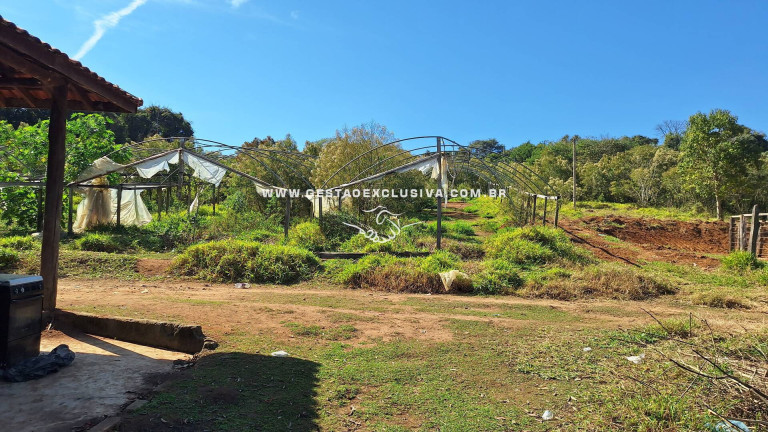 Imagem Chácara à Venda, 80.700 m² em área Rural De Morungaba - Morungaba