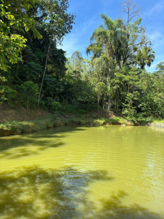 Imagem Chácara com 5 Quartos à Venda, 300 m² em Pedra De amolar - Corupá