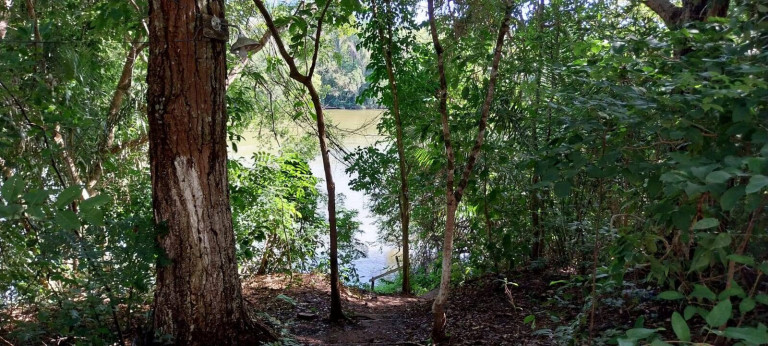 Imagem Chácara com 4 Quartos à Venda, em Rio Manso - Chapada Dos Guimarães Imagem Chácara com 4 Quartos à Venda, em Rio Manso - Chapada Dos Guimarães