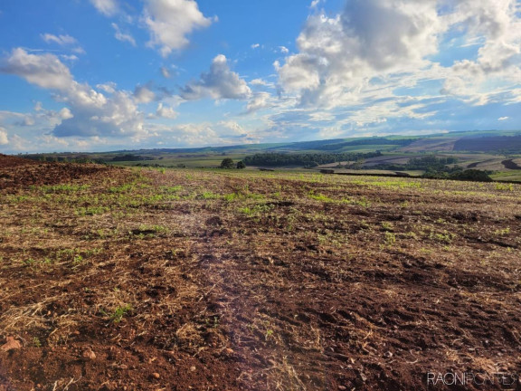 Imagem Fazenda à Venda, 2.057.000 m² em Centro - Cambé