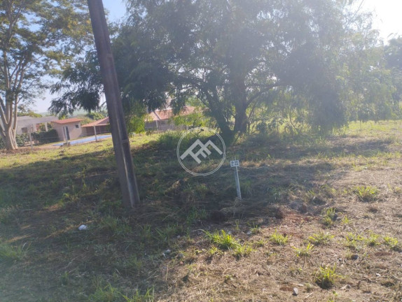 Imagem Fazenda à Venda, em Estância Favoreto - Sertanópolis Imagem Fazenda à Venda, em Estância Favoreto - Sertanópolis