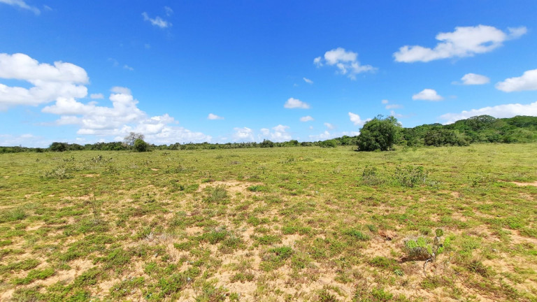 Imagem Fazenda à Venda, 900.000 m² em Centro - Viamão Imagem Fazenda à Venda, 900.000 m² em Centro - Viamão