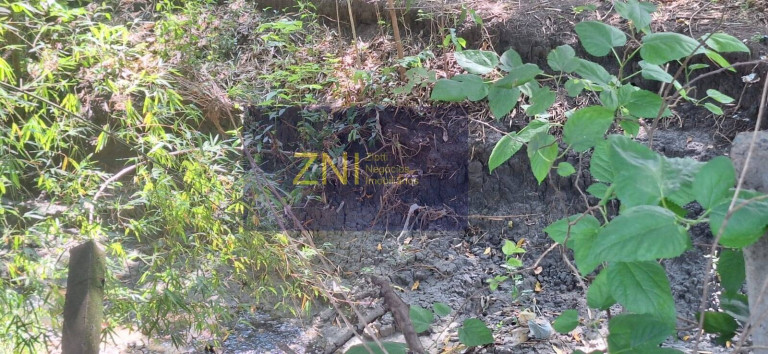 Imagem Chácara com 5 Quartos à Venda, 4.068 m² em Jardim Do Trevo - Ribeirão Preto