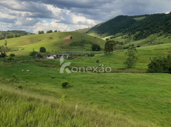 Imagem Fazenda à Venda, 400 m² em Jardim Prado - Santa Branca Imagem Fazenda à Venda, 400 m² em Jardim Prado - Santa Branca