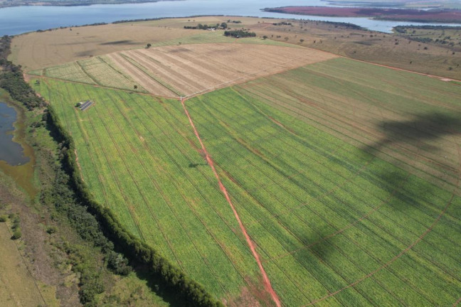 Imagem Fazenda à Venda, 125 m² em Zona Rural - Sud Mennucci Imagem Fazenda à Venda, 125 m² em Zona Rural - Sud Mennucci