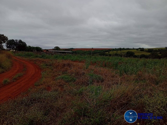 Imagem Fazenda à Venda, 33 m² em Zona Rural - Caiapônia Imagem Fazenda à Venda, 33 m² em Zona Rural - Caiapônia