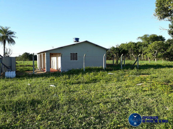 Imagem Fazenda à Venda, 31 m² em Zona Rural - Niquelândia Imagem Fazenda à Venda, 31 m² em Zona Rural - Niquelândia