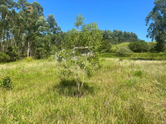 Imagem Chácara com 2 Quartos à Venda, 37.000 m² em Pinheirinho - Capela De Santana Imagem Chácara com 2 Quartos à Venda, 37.000 m² em Pinheirinho - Capela De Santana