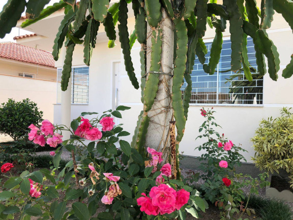 Imagem Casa com 3 Quartos à Venda, 160 m² em Universitário - Tijucas Imagem Casa com 3 Quartos à Venda, 160 m² em Universitário - Tijucas
