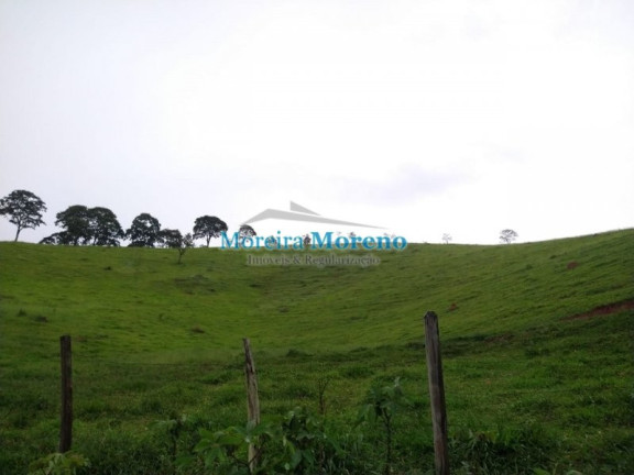 Imagem Imóvel com 1 Quarto à Venda, 11 m² em Zona Rural - Borda Da Mata Imagem Imóvel com 1 Quarto à Venda, 11 m² em Zona Rural - Borda Da Mata