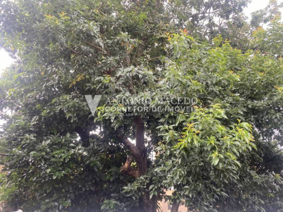 Imagem Casa com 3 Quartos à Venda, 140 m² em Bosque Da Saúde - São Paulo