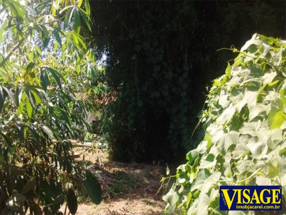 Imagem Chácara com 2 Quartos à Venda, 1.837 m² em Centro - Santa Branca