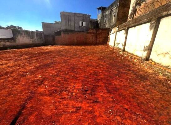 Imagem Terreno à Venda, 369 m² em Salgado Filho - Belo Horizonte Imagem Terreno à Venda, 369 m² em Salgado Filho - Belo Horizonte